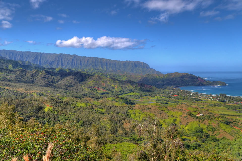 Hanalei bay from hike