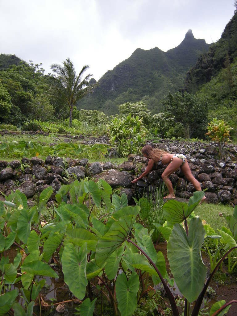 Michaelle at limahuli terrace